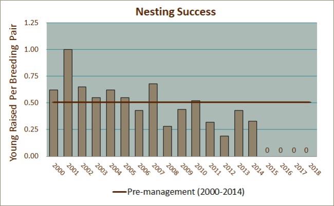 Nesting Success