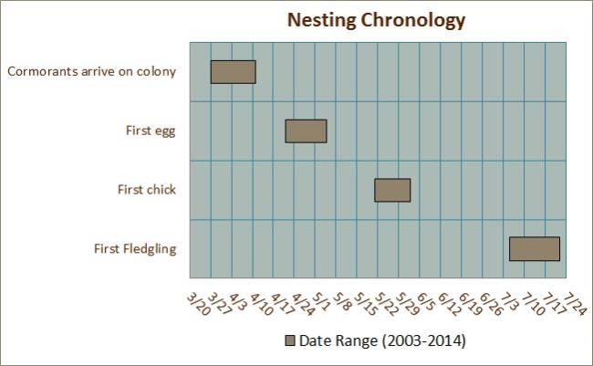 Nesting Chronology