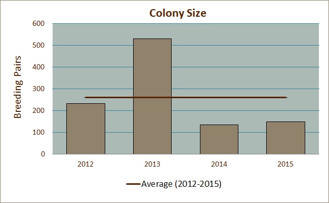 Colony Size