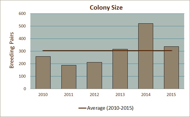Colony Size