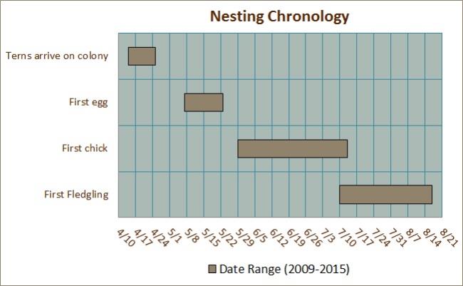 Nesting Chronology