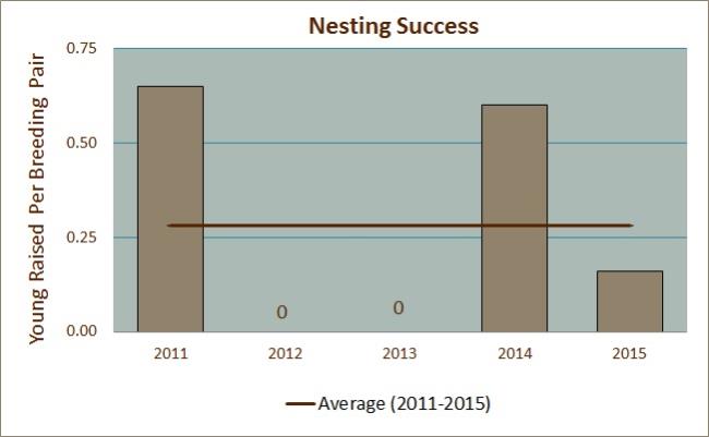 Nesting Success