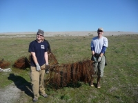 Nathan Hostetter and Don Lyons hauling old fencing wire off the colony