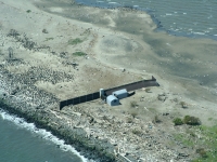 Privacy fence on East Sand Island cormorant colony