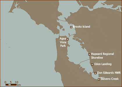 San Francsico Bay Map