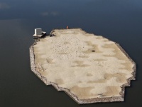 Dutchy Lake floating island