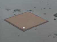 Tern nesting island in Fern Ridge Lake