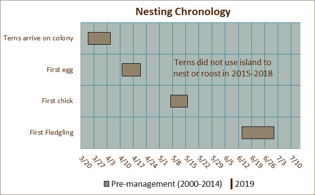 Nesting Chronology