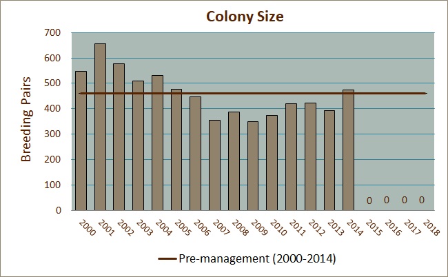 Colony Size