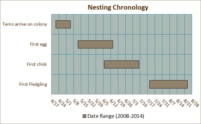 Nesting Chronology