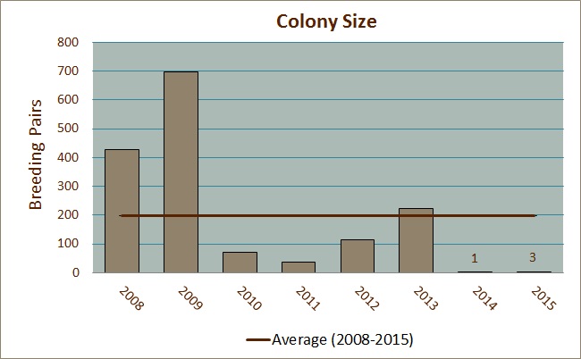Colony Size