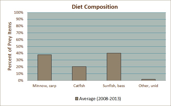 Diet Composition