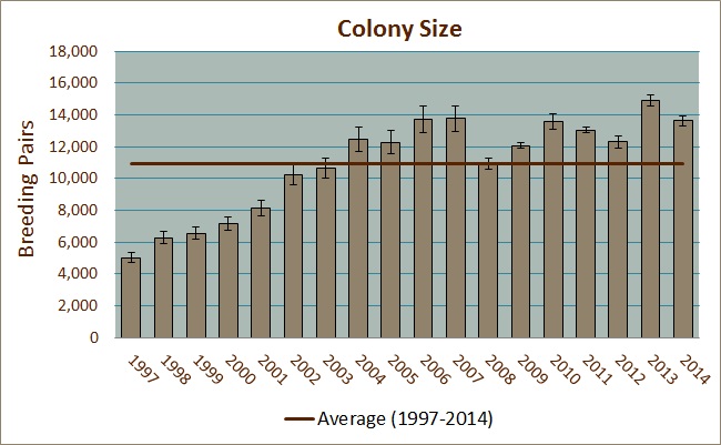 Colony Size