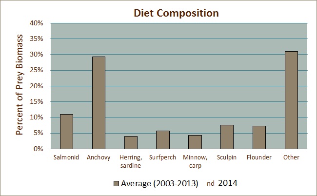 Diet Composition