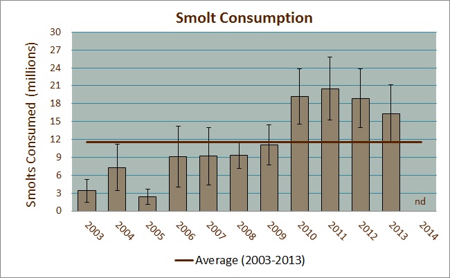 Smolt Consumption