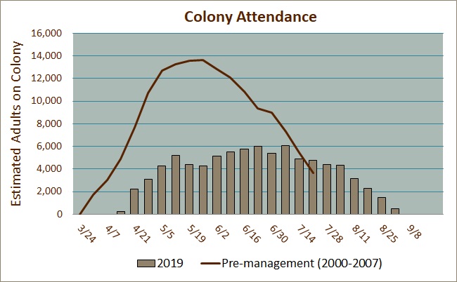 Colony Attendance