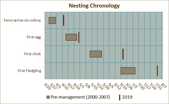 Nesting Chronology