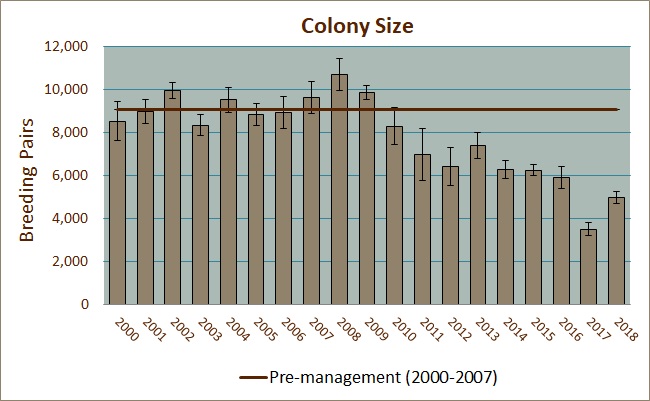 Colony Size