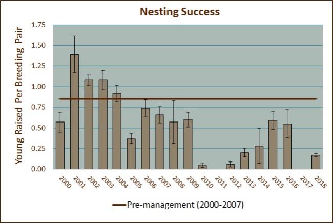 Nesting Success