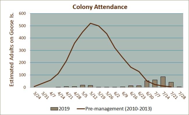 Colony Attendance