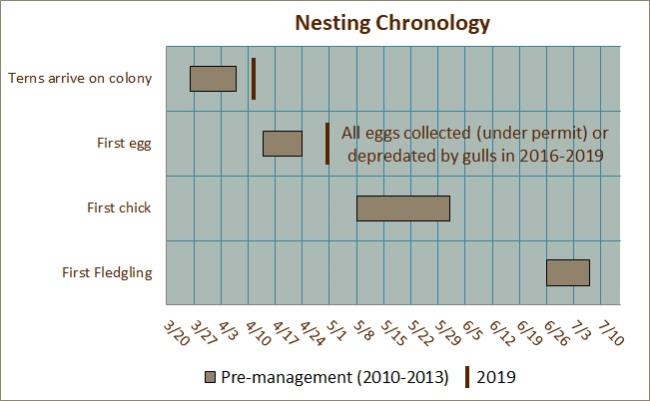 Nesting Chronology