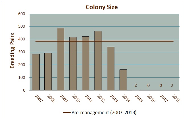Colony Size