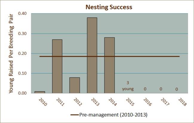 Nesting Success