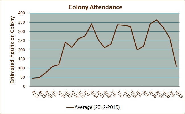 Colony Attendance