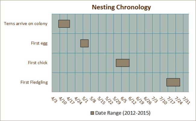 Nesting Chronology