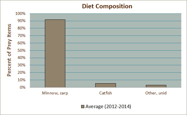 Diet Composition