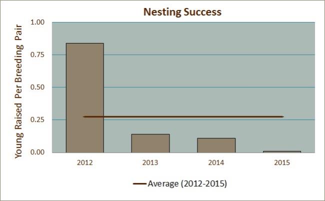 Nesting Success