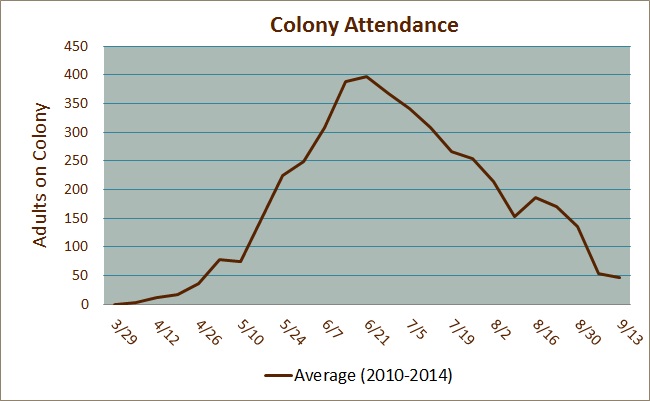 Colony Attendance