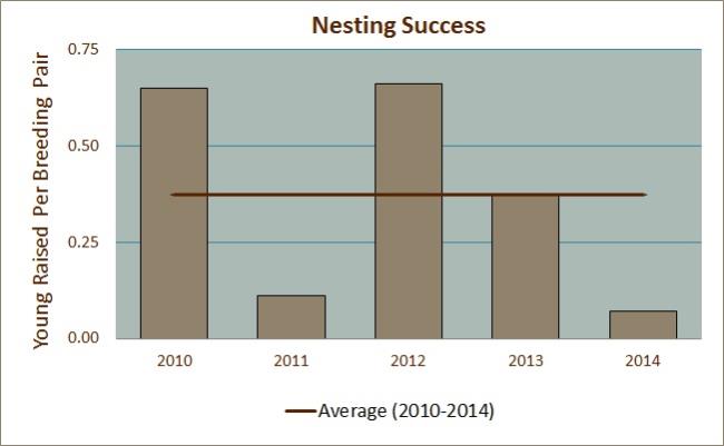 Nesting Success
