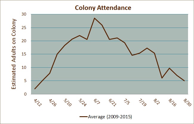 Colony Attendance