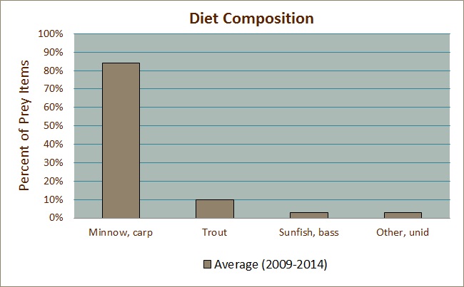 Diet Composition