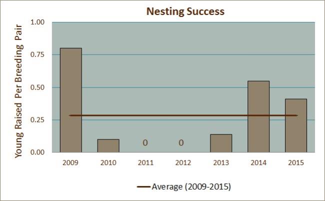 Nesting Success