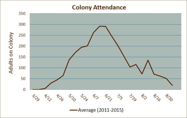 Colony Attendance