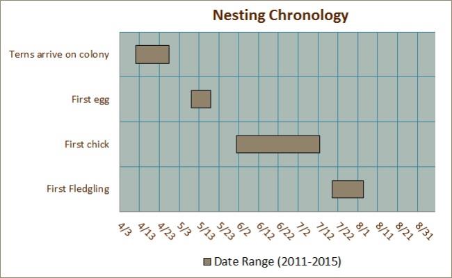 Nesting Chronology