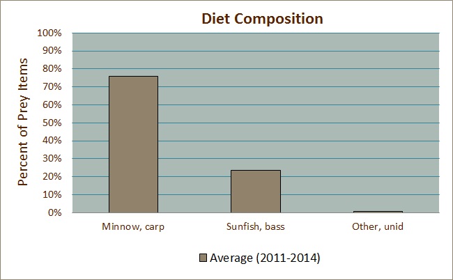 Diet Composition