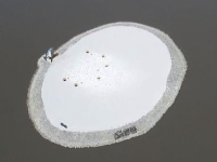 Island constructed for tern nesting at Malheur NWR