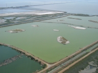 Islands in salt pond at Hayward Regional Shoreline