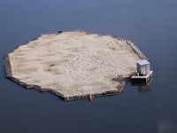 Floating island at Dutchy Lake 